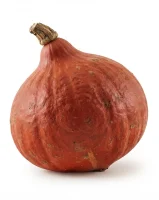 potimarron pour recette de cuisine de la Ferme de Julien